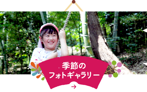 季節のフォトギャラリー