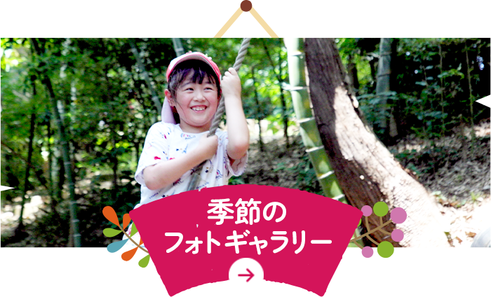 季節のフォトギャラリー